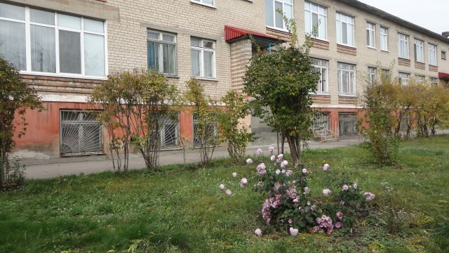 Детский сад № 209 "Огонек"