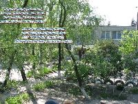 Детский сад № 306 «Ручеек»