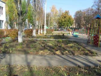 Детский сад №366