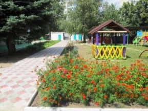 Детский сад №446