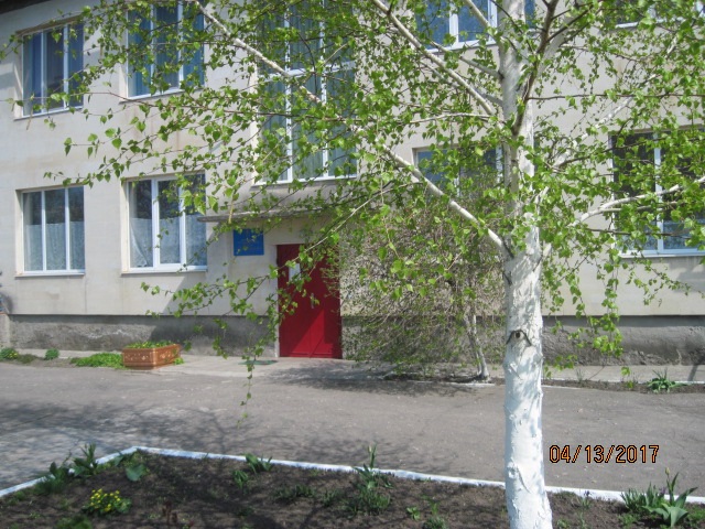 Дошкільний навчальний заклад (ясла-садок) комбінованого типу «Ромашка»