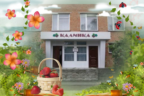Детский сад №10 "Калинка"