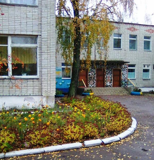 Дошкольное учебное заведение (ясли-сад) №10 "Незабудка"