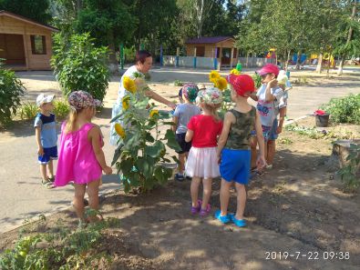 Дошкільний навчальний заклад (ясла-садок) №2 "Золота рибка"