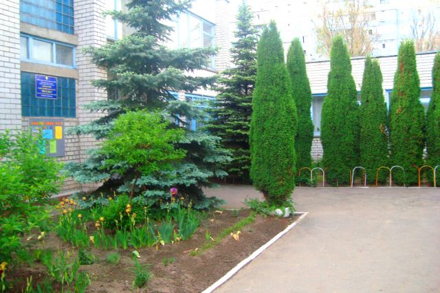 Дошкольное учебное заведение (ясли-сад) №37 "Радуга"