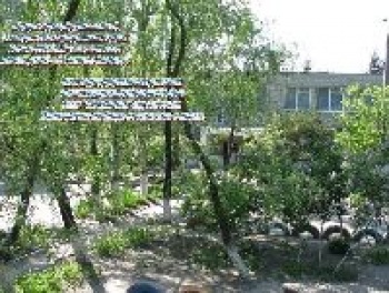 Детский сад № 306 «Ручеек»
