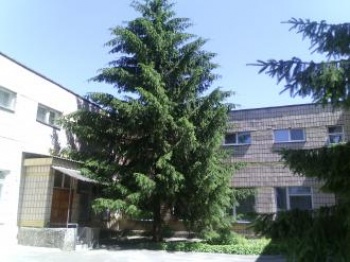 Детский сад "Алые паруса"