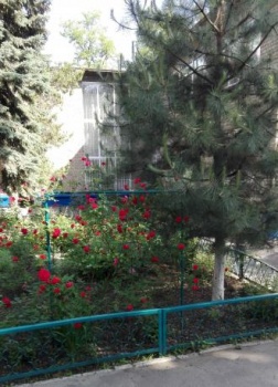 Детский сад №163 «Катюша»