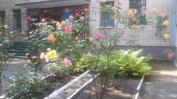 Детский сад №237 «Смородинка»