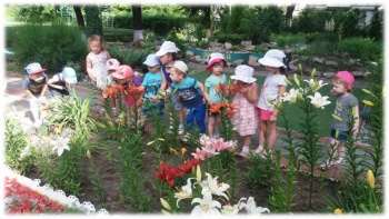 Детский сад №244 «Белая лилия»