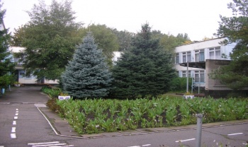 Детский сад №270 «Искорка»