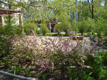 Детский сад №297 «Здоровьячок»