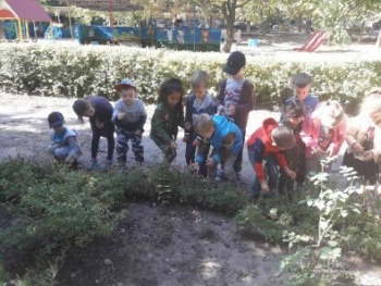 Детский сад №416