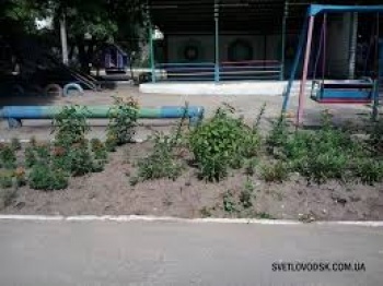 Детский сад №6 "Звездочка"