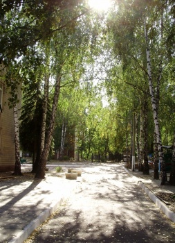 Детский сад №65 "Котигорошко"