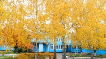 Детский сад №8 "Космический"