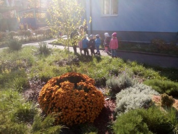 Дошкольное учебное заведение (ясли-сад) №20