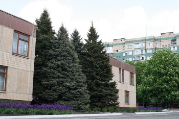 Дошкольное учебное заведение (ясли-сад) №222