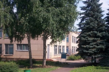 Дошкольное учебное заведение (ясли-сад) №295