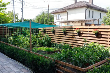 Эко-садик ELLO KIDS в Конча-Заспе