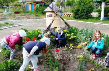 Заведение дошкольного образования №768 "Росток"