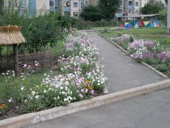 Заведение дошкольного образования (ясли-сад) №62