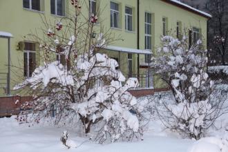 Детский сад №321