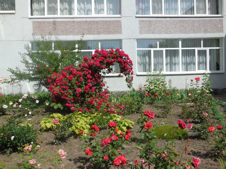 Дошкольное учреждение №61
