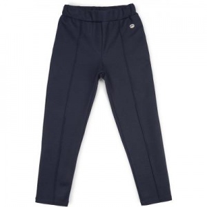 Штани дитячі Breeze трикотажные (11663-128G-blue)