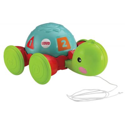 Каталка Fisher-Price Ученая черепашка (Y8652)