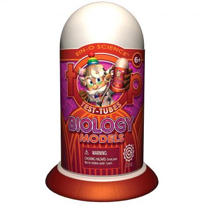Настольная игра Professor Ein-O Биологичeскиe модeли (E2594)