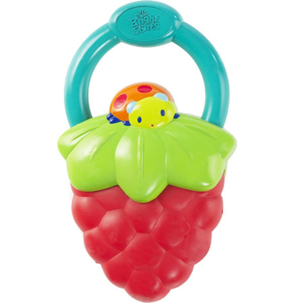 Прорезыватель Kids II Ягода (9312-1)