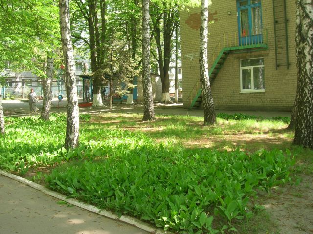 Детский сад № 208 "Луч"