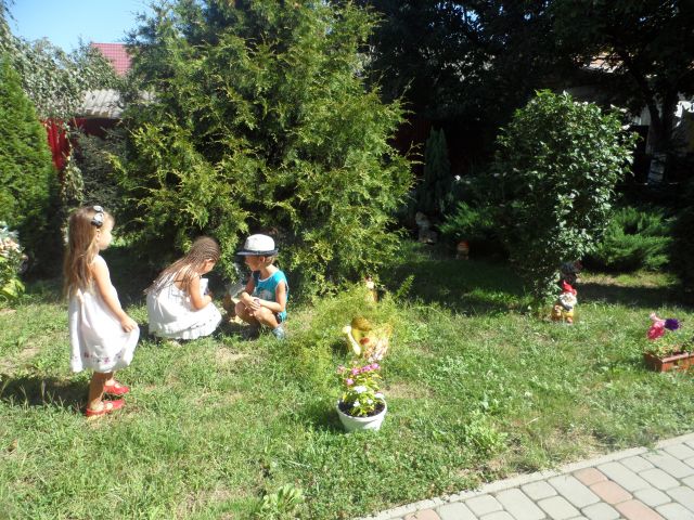 Дошкільний навчальний заклад № 1