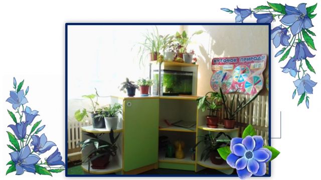 Дошкольное учебное заведение (ясли - сад) №45 "Капелька"