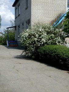 Дошкільний навчальний заклад (ясла-садок) №5