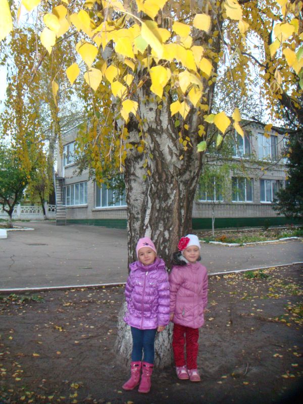 Дошкольное учебное заведение (ясли сад) № 42