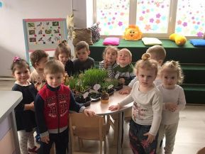 Дошкільний навчальний заклад (ясла-садок) "Сонечко"