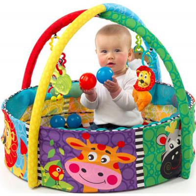 Детский коврик Playgro Развивающий коврик-бассейн (184007)