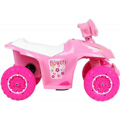 Электромобиль Loko Toys Flowers (CT-726-G)