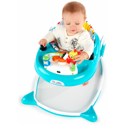 Ходунки Baby Einstein Sky Explorers (11901)