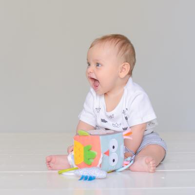 Игрушка на коляску Taf Toys Веселые зверушки (12185)