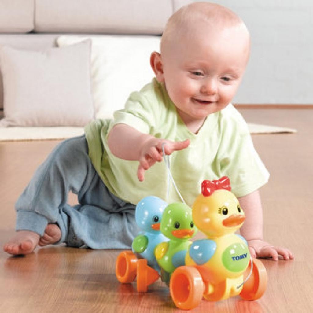 Каталка Tomy Семья утят (4613)