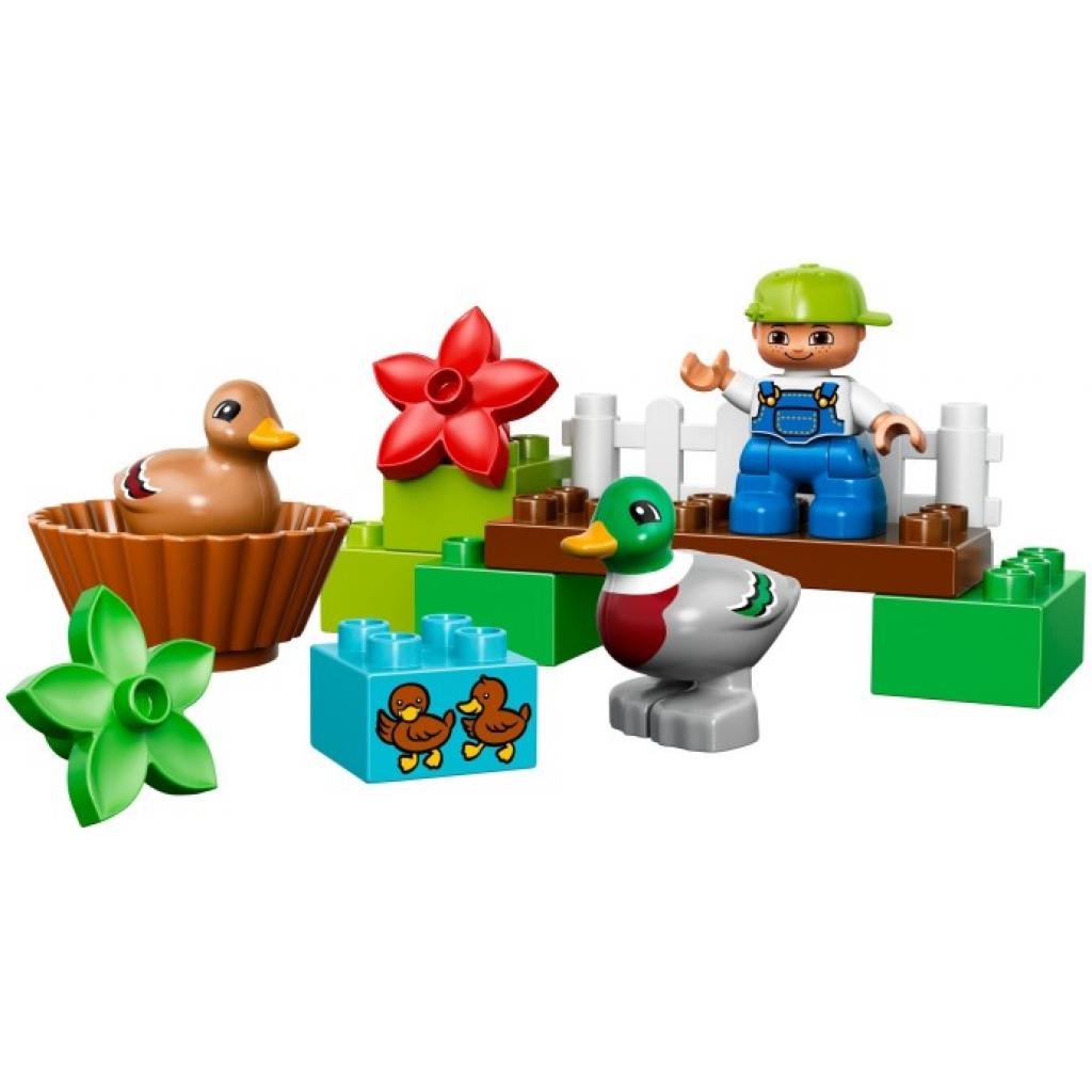 Конструктор LEGO Duplo Лес Утки (10581)