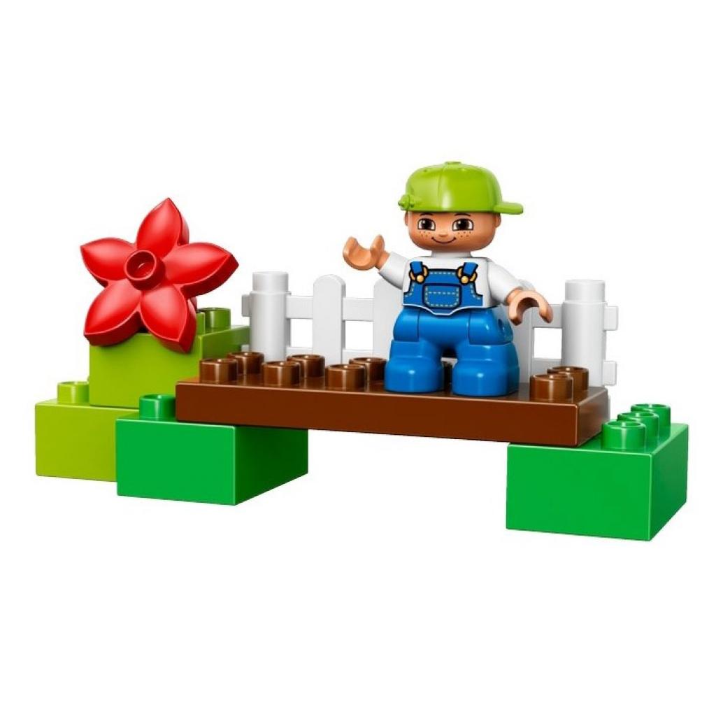 Конструктор LEGO Duplo Лес Утки (10581)