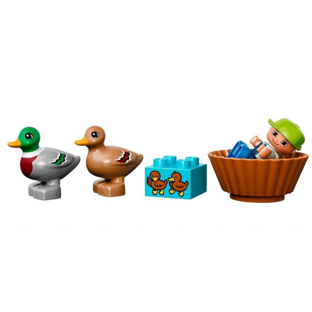 Конструктор LEGO Duplo Лес Утки (10581)