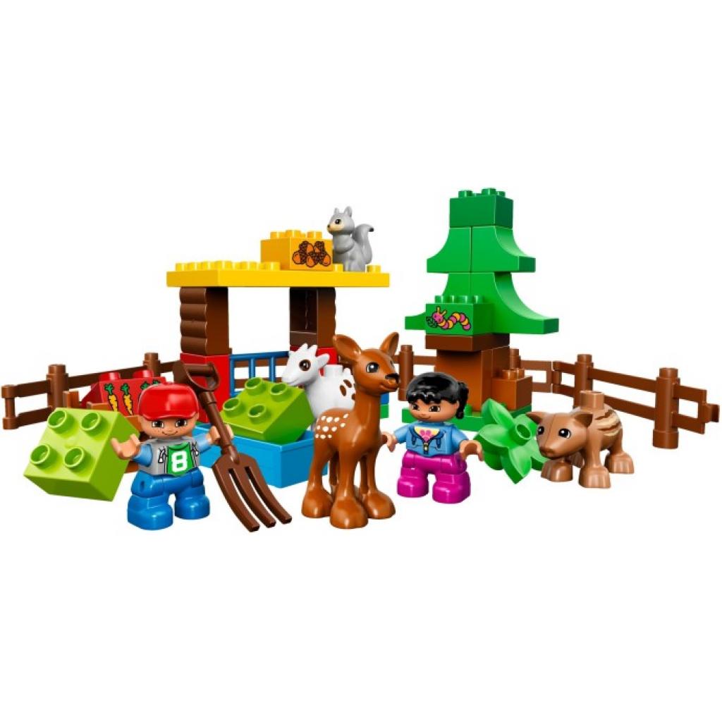 Конструктор LEGO Duplo Лес: животные (10582)