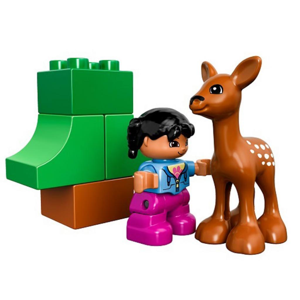 Конструктор LEGO Duplo Лес: животные (10582)