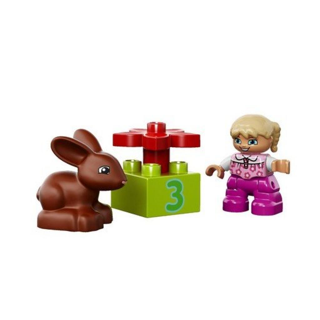 Конструктор LEGO Универсальный набор Веселая розовая коробка (10571)