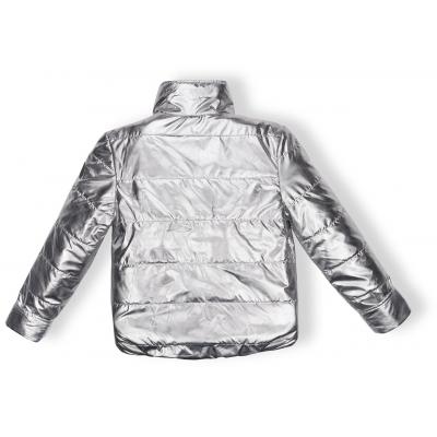Куртка Brilliant демисезонная (1001-140G-silver)